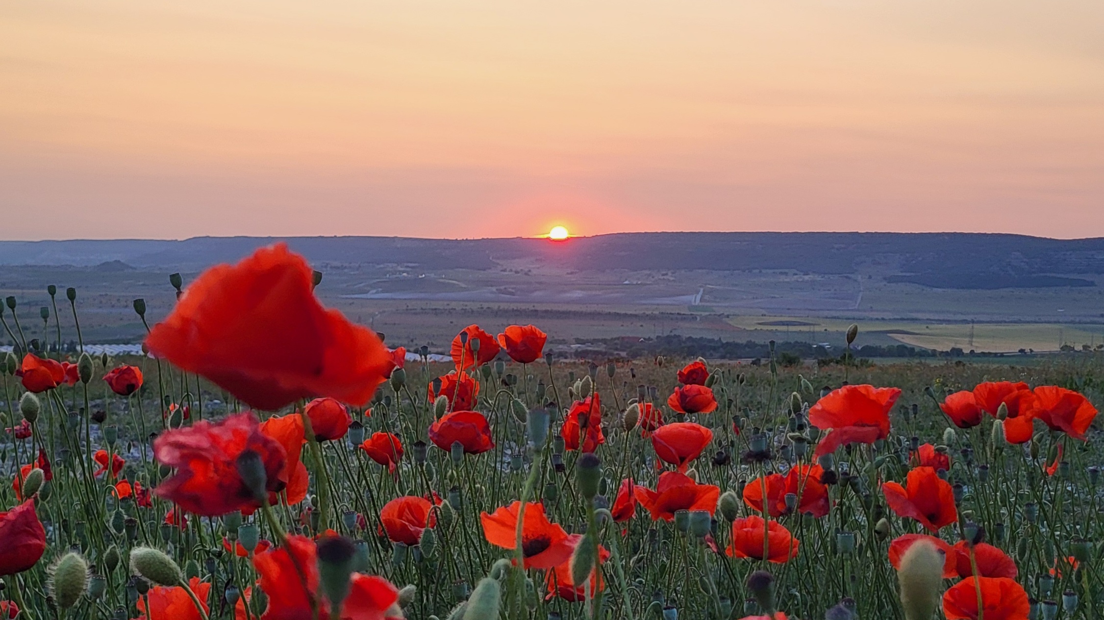 Лунный месяц Стихия огня и проявленность